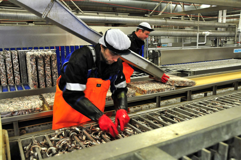 Scandinavie, Norvge, Sude, Finlande